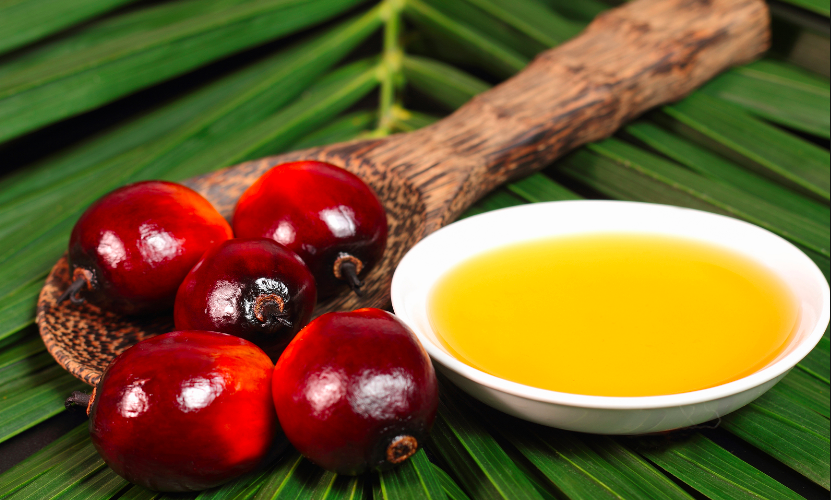 What is palm oil?